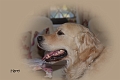 02 10 11_2732_edited-1